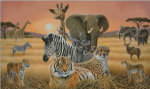 (image for) Safari